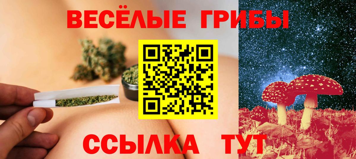 Гагарин  продажа наркотиков  Вход с VPN  Псилоцибиновые грибы мицелий 