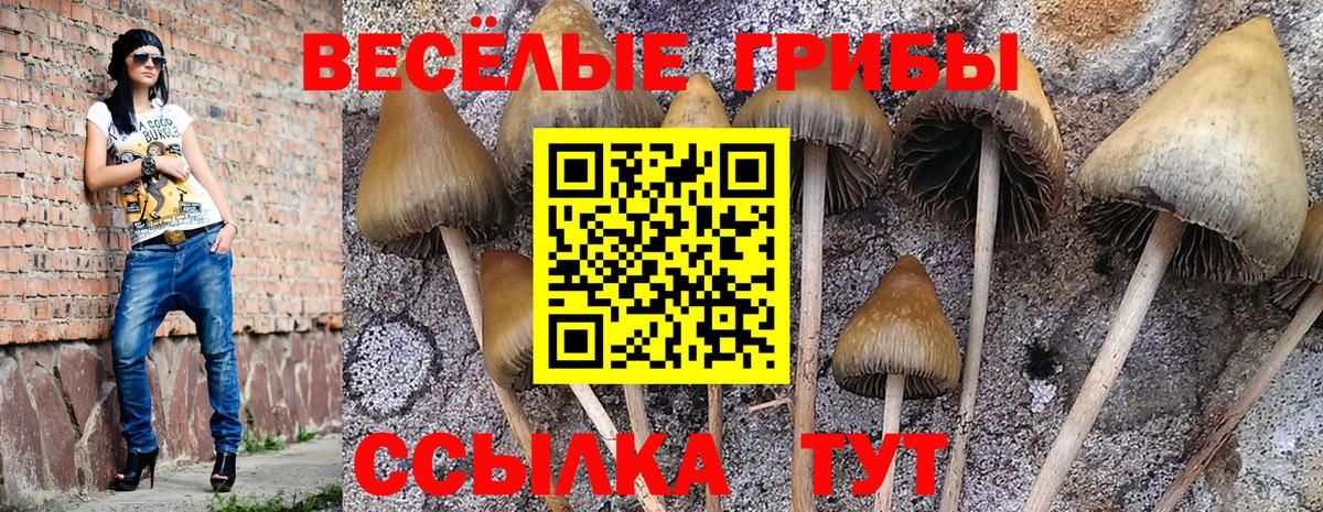 Галлюциногенные грибы MAGIC MUSHROOMS Гагарин